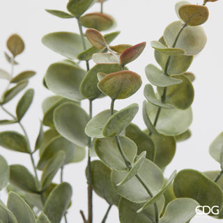 EDG Enzo De Gasperi Artificial Eucalyptus Bush H 50 cm