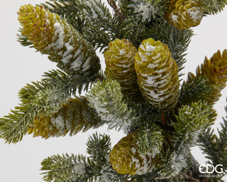 EDG Enzo De Gasperi Gemischte Kiefernkrone mit schneebedeckten Kiefernzapfen D50 cm