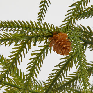 EDG Enzo De Gasperi Zweig der Japanischen Zeder mit Kiefernzapfen H 44 cm