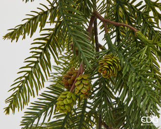 EDG Enzo De Gasperi Festone Taxus con pigne  H183 cm