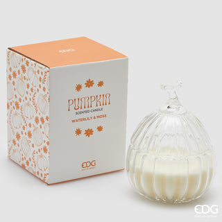 EDG Enzo De Gasperi Candela Pumpkin 280g Ninfea e Muschio