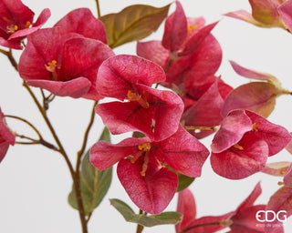 EDG Enzo De Gasperi Ramo Artificiale di Bouganvillea con Foglie H77 cm Rosa Scuro
