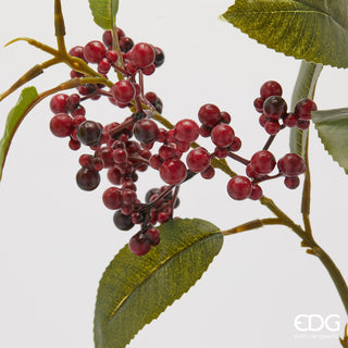 EDG Enzo De Gasperi Ramo di Piracanta con Foglie Rosso Scuro H88 cm