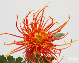 EDG Enzo De Gasperi Ramo Artificiale di Crisantemo con Foglie H75 cm Arancio