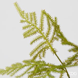 EDG Enzo De Gasperi Artificial Asparagus Branch H71 cm