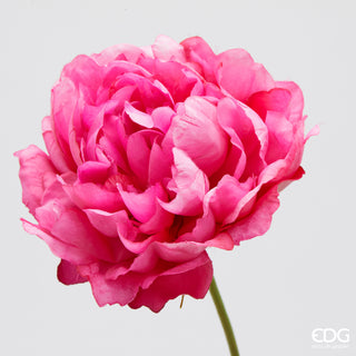 EDG Enzo De Gasperi Ramo di Peonia H67 cm Fucsia