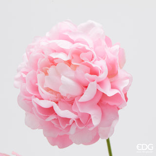 EDG Enzo De Gasperi Ramo di Peonia H67 cm Rosa Scuro