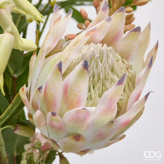 EDG Enzo De Gasperi Protea Composizione con Foglie H71 cm
