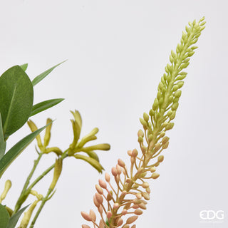 EDG Enzo De Gasperi Protea Composizione con Foglie H71 cm