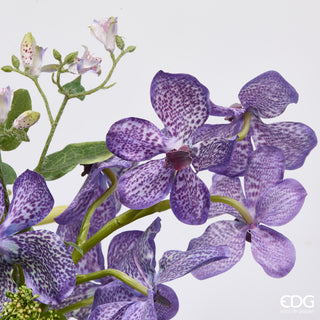 EDG Enzo De Gasperi Orchidea Vanda Composizione con Foglie H36 cm