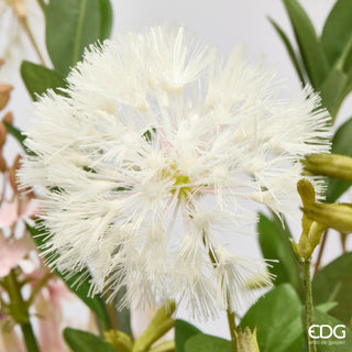 EDG Enzo De Gasperi Protea Composizione con Foglie H110 cm