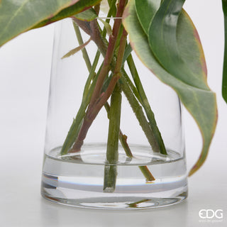 EDG Enzo De Gasperi Protea Composizione con Foglie H34 cm
