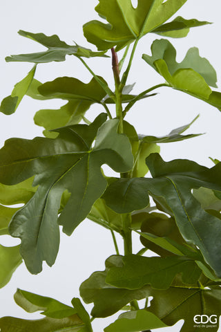 EDG Enzo De Gasperi Pianta Artificiale Ficus con Vaso H120 cm