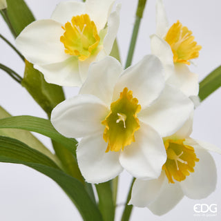 EDG Enzo De Gasperi Pianta Narciso con Vaso H34 cm Bianco