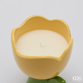 EDG Enzo de Gasperi Candela Tulip con Profumo H11 cm Giallo