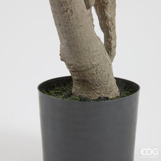 EDG Enzo De Gasperi Pianta Artificiale di Magnolia con Foglie H180 cm