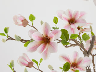 EDG Enzo De Gasperi Pianta Artificiale di Magnolia con Foglie H180 cm