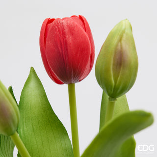 EDG Enzo De Gasperi Bouquet di Tulipani Real Touch x5 H 30 cm Rosso