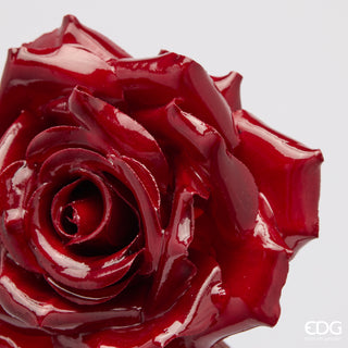 EDG Enzo De Gasperi Rose Glossy Clip D11 cm