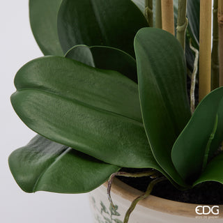 EDG Enzo De Gasperi Orchidea Phalaenopsis x8 con Bocciolo e Vaso H90 cm