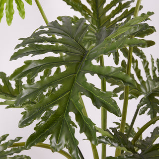 EDG Enzo De Gasperi Artificial Philodendron Plant with Vase H135 cm
