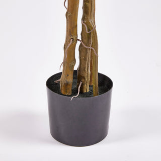 EDG Enzo De Gasperi Artificial Monstera Slim Plant with Vase H130 cm