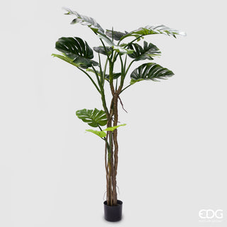 EDG Enzo De Gasperi Artificial Monstera Slim Plant with Vase H180 cm