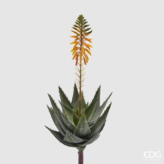 EDG Enzo De Gasperi Ramo Artificiale di Aloe Succulent H50 cm
