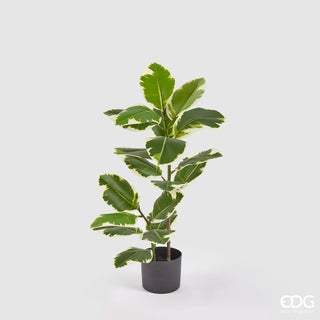 EDG Enzo De Gasperi Pianta Artificiale Ficus H85 cm