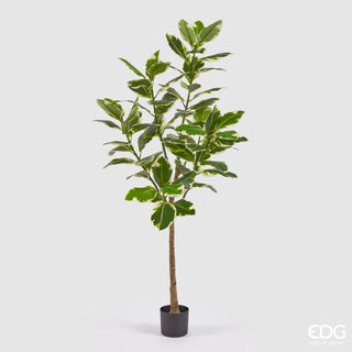 EDG Enzo De Gasperi Pianta Artificiale Ficus H180 cm