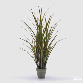 EDG Enzo De Gasperi Pianta Articiale Festuca con Vaso H102 cm