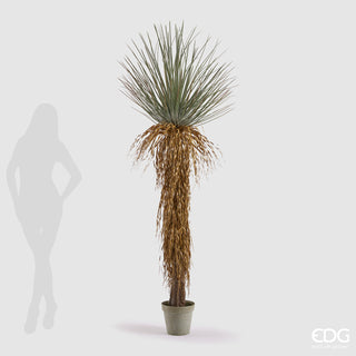 EDG Enzo De Gasperi pianta Yucca Con Vaso H220 cm