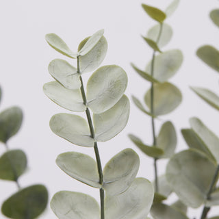 EDG Enzo De Gasperi Cespuglio Artificiale di Eucalipto H56 cm