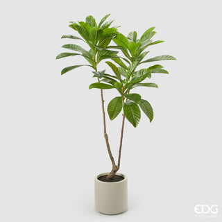 EDG Enzo De Gasperi Artificial Plant Camellia Carinata with Vase H160 cm