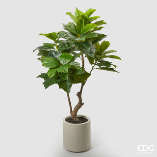 EDG Enzo De Gasperi Artificial Plant Ficus Sycomorus with Vase H170 cm