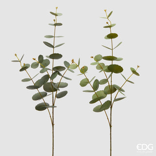 EDG Enzo De Gasperi Set 2 Rami di Eucalipto Olis H89 cm Verde