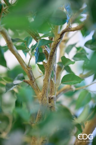 EDG Enzo De Gasperi Pianta Artificiale Ficus Beniamino H232 cm