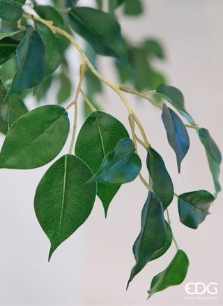 EDG Enzo De Gasperi Pianta Artificiale Ficus Beniamino H232 cm