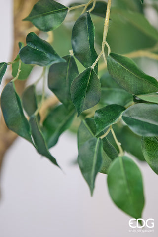 EDG Enzo De Gasperi Pianta Artificiale Ficus Beniamino H305 cm