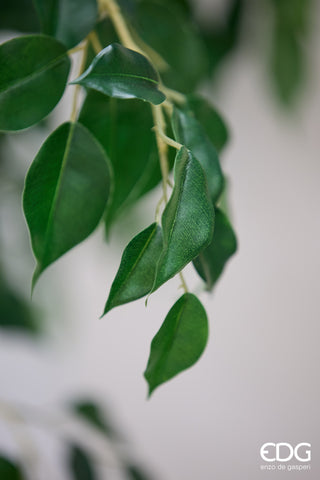 EDG Enzo De Gasperi Pianta Artificiale Ficus Beniamino H280 cm