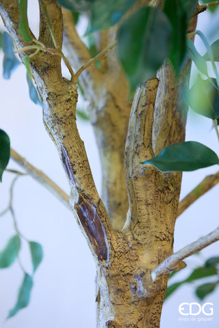 EDG Enzo De Gasperi Pianta Artificiale Ficus Beniamino H305 cm