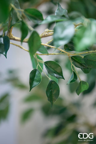 EDG Enzo De Gasperi Pianta Artificiale Ficus Beniamino H305 cm