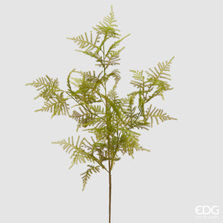 EDG Enzo De Gasperi Ramo Artificiale Asparagus H97 cm