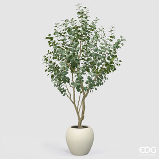 EDG Enzo De Gasperi Pianta Artificiale Eucalipto Vouge con Vaso H244 cm