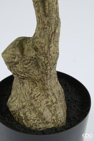 EDG Enzo De Gasperi Pianta Artificiale Dalbergia Vogue con Vaso H180 cm