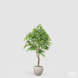 EDG Enzo De Gasperi Künstliche Ficus Beniamino Vogue Pflanze mit Vase H 170 cm