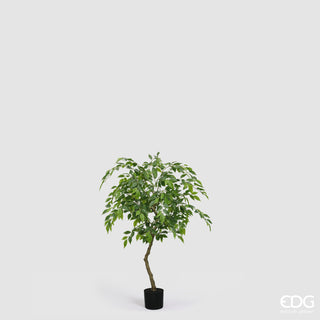 EDG Enzo De Gasperi Künstliche Ficus Beniamino Vogue Pflanze mit 100 cm hoher Vase
