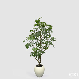 EDG Enzo De Gasperi Pianta Artificiale Aralia Vogue con Vaso H230 cm