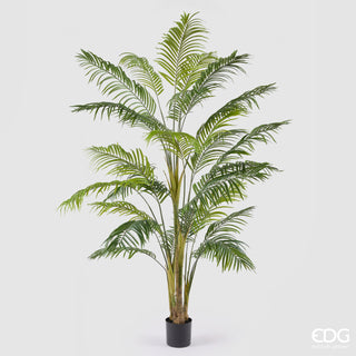 EDG Enzo De Gasperi Pianta Artificiale Palma Areca Vogue con Vaso H250 cm
