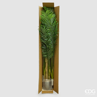 EDG Enzo De Gasperi Pianta Artificiale Palma Areca Vogue con Vaso H250 cm